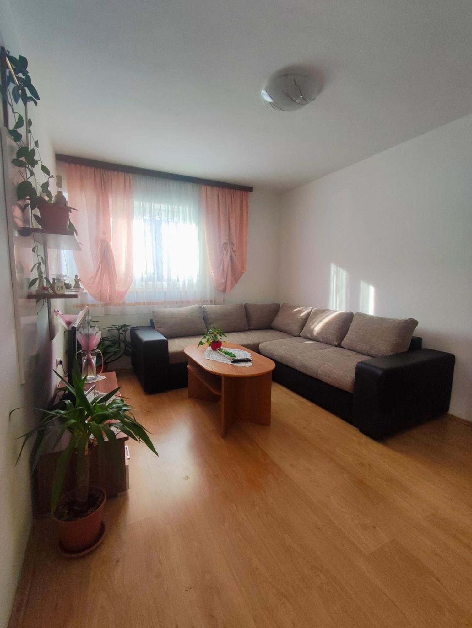 Apartman Josipa ドレツニック・グラード エクステリア 写真